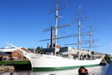 Suomen joutsen