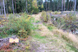K�vellen olisit jo perill�